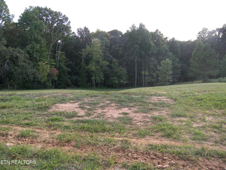 Property Photo: 250 Wells Rd TN 37849