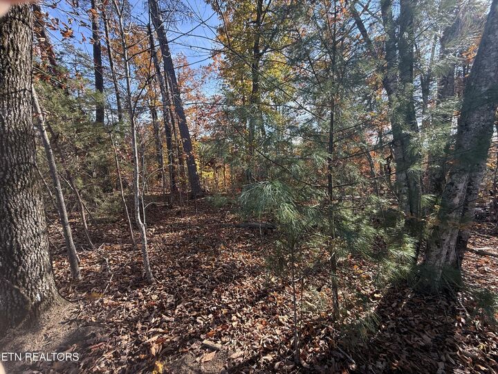Property Photo:  Scenic Woods Way  TN 37876 
