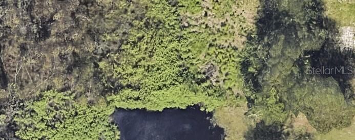 Property Photo: Old Bartow Eagle Lake Road FL 33830