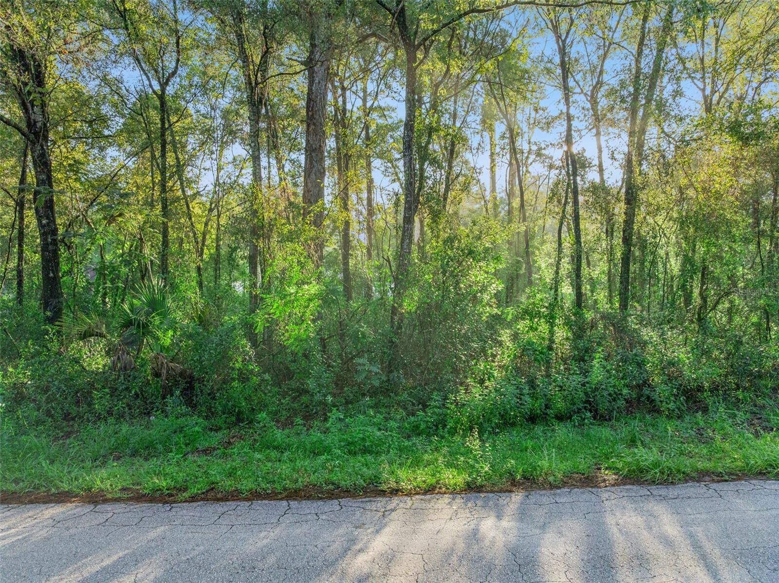 Property Photo: 29 N Rooks Avenue FL 34453