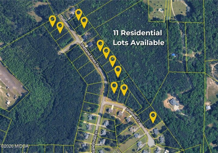 Property Photo: 163 Shetland Pines Drive GA 31216