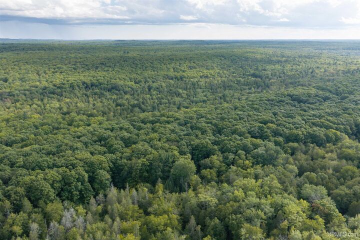 Property Photo: Tbd 40 Acres Martin Road MI 49806