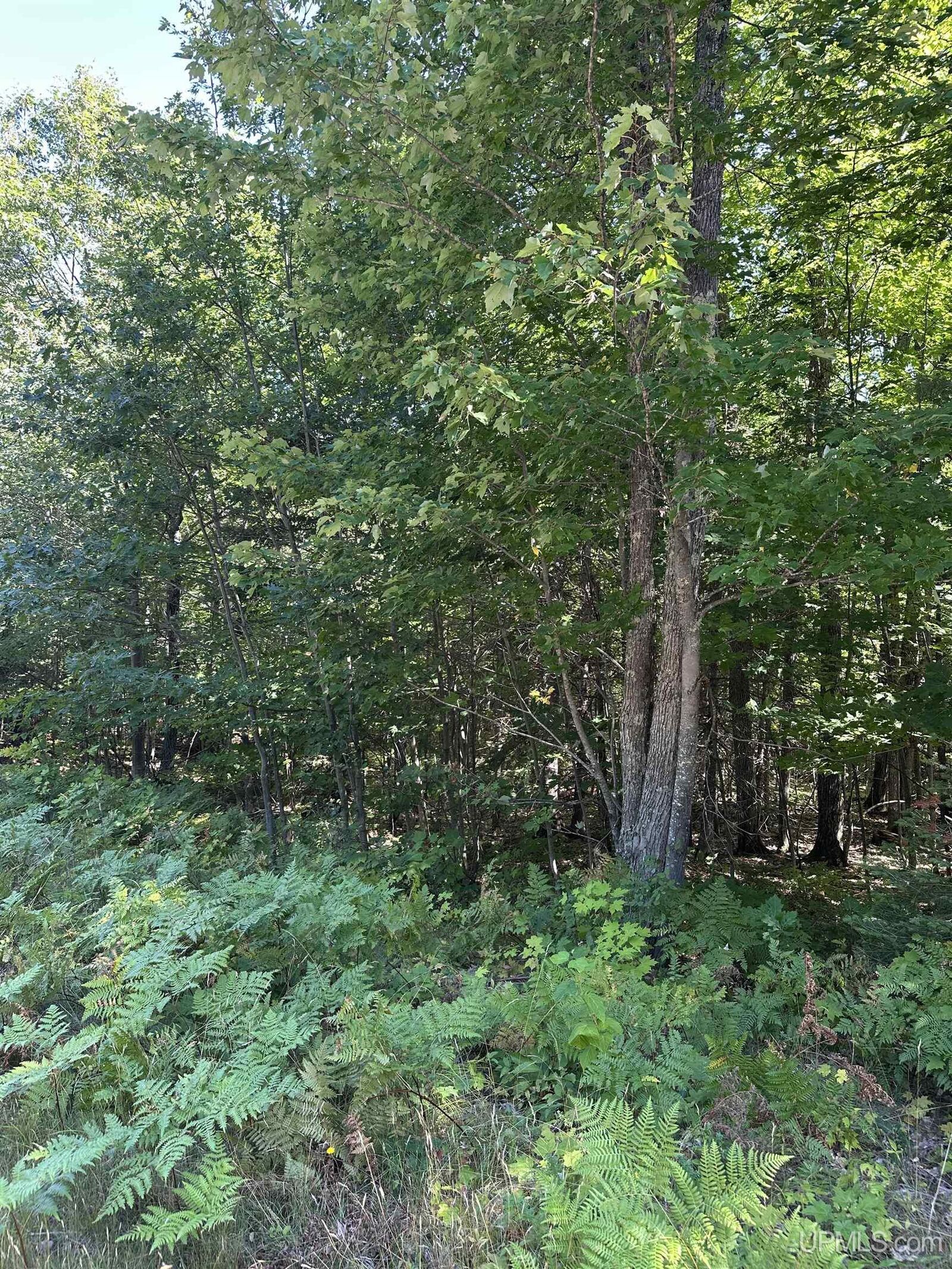Property Photo: 140 Meco Court Road MI 49855