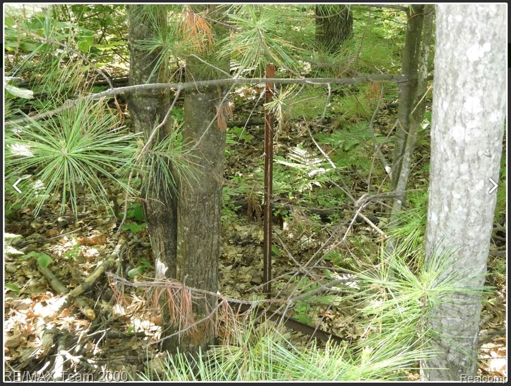 Property Photo: Bunny Run Vacan Bunny Run MI 48629