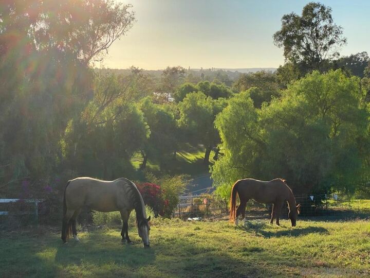 Property Photo: 3003 Guajome Lake Road CA 92057