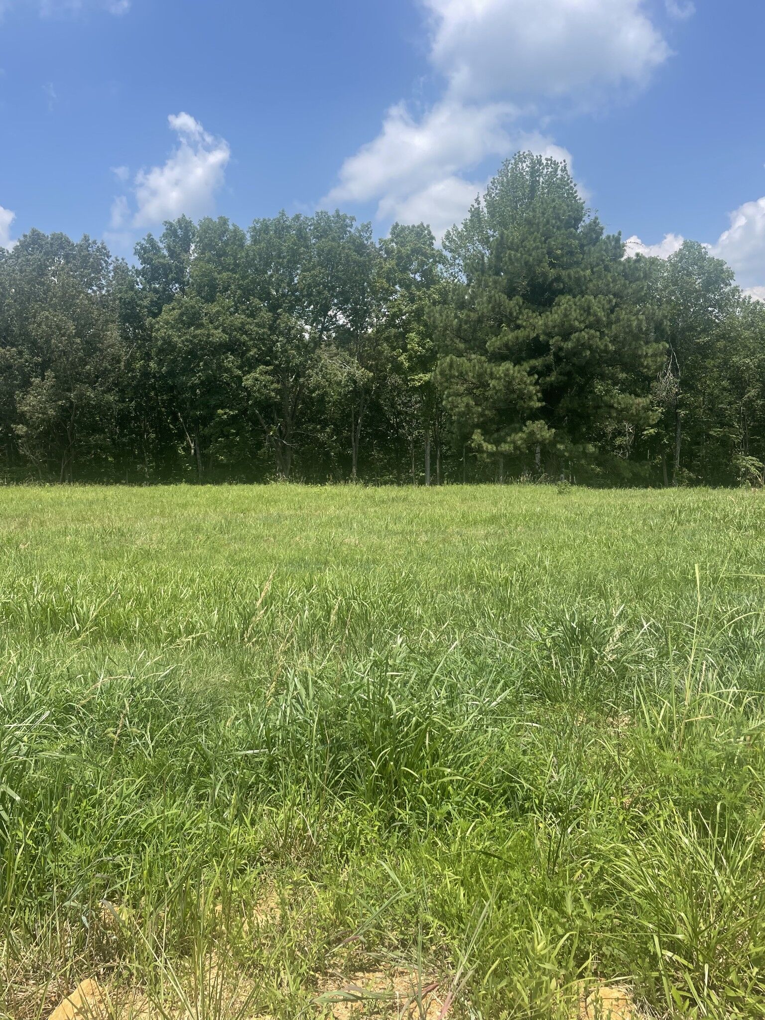 Property Photo:  0 Summer Lake  TN 37398 
