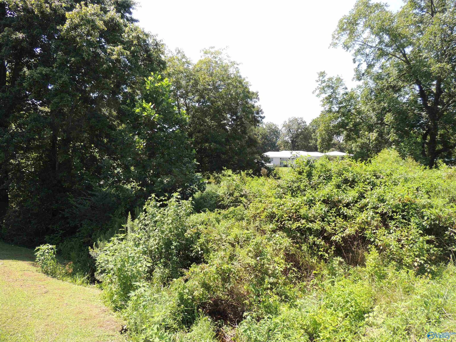 Property Photo:  .51 Gaines Street  AL 35962 