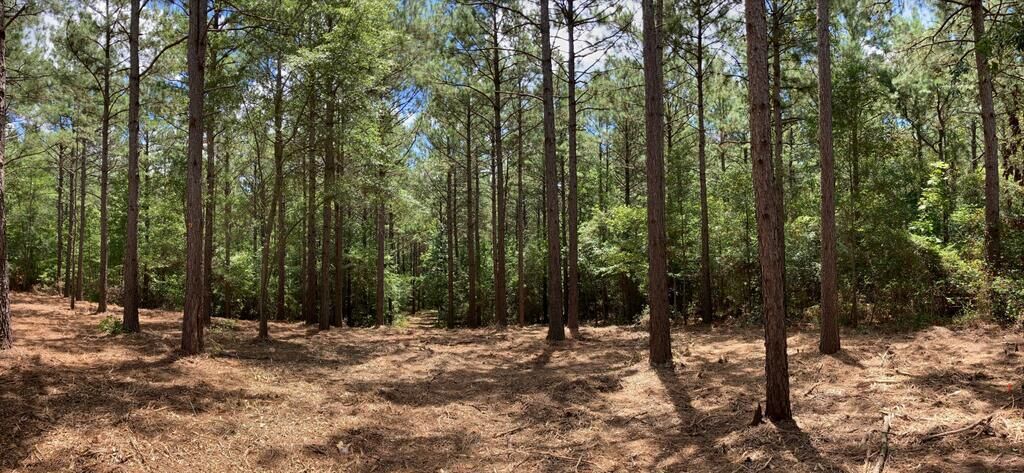 Property Photo:  1360 County Road 403  TX 75972 