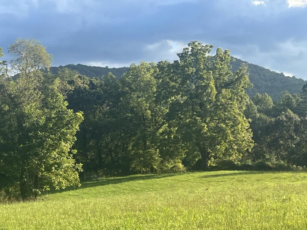 Property Photo: 5.8 Ac Lebanon Road GA 30513