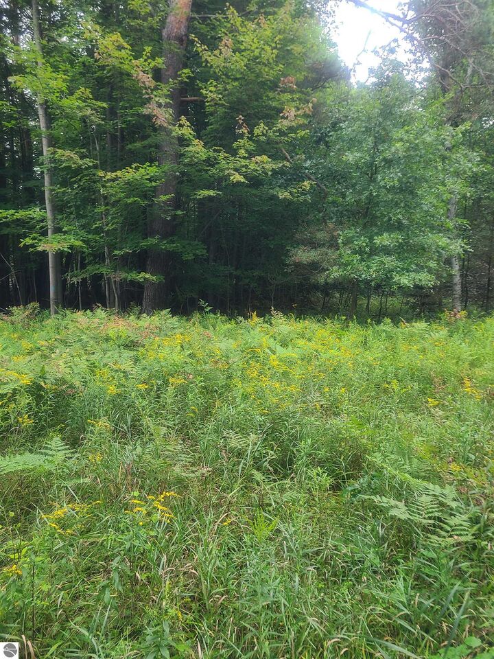 Property Photo:  00 M-55  MI 48770 