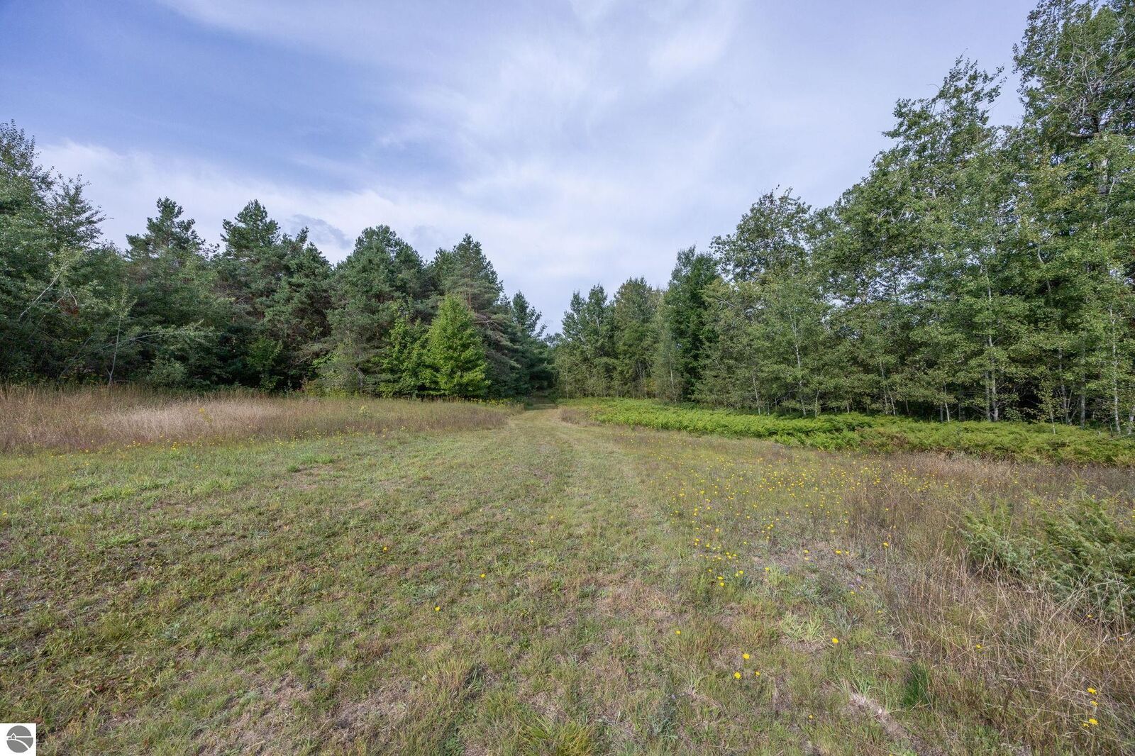 Property Photo: 0 S 27 Road MI 49601
