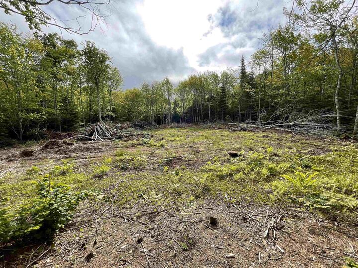 Property Photo:  0 Mapleridge Estates  PE C0B 1M0 