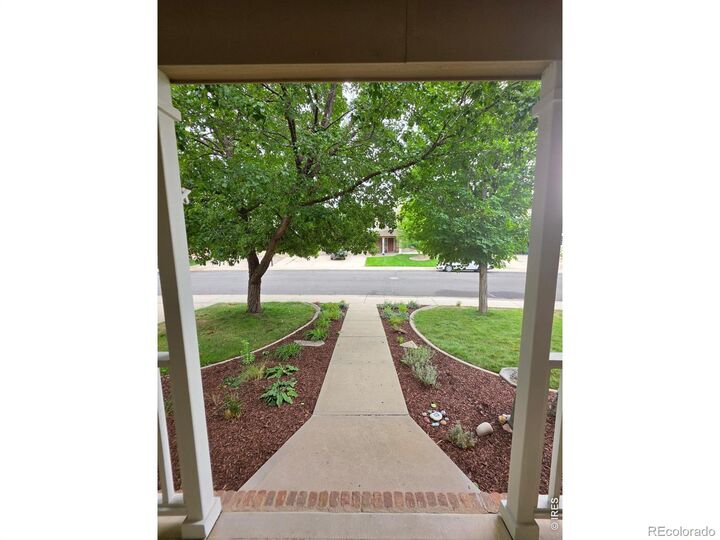 Property Photo:  518 Ramah Drive  CO 80525 