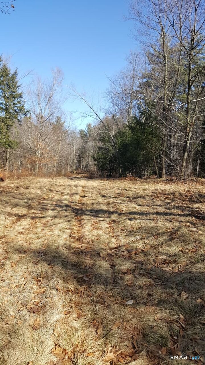 Property Photo:  53 Flag Hill Road  CT 06021 