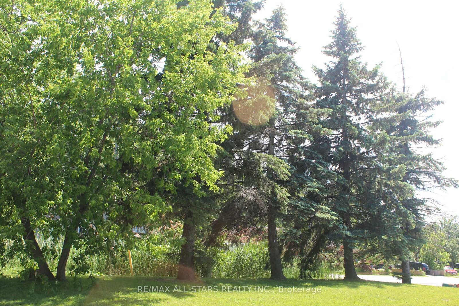 Property Photo:  180 Frederick Street  ON L4P 2J1 