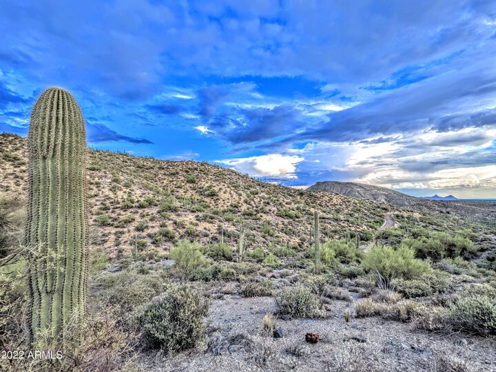 Property Photo:  41197 N Longhorn Drive 11  AZ 85262 