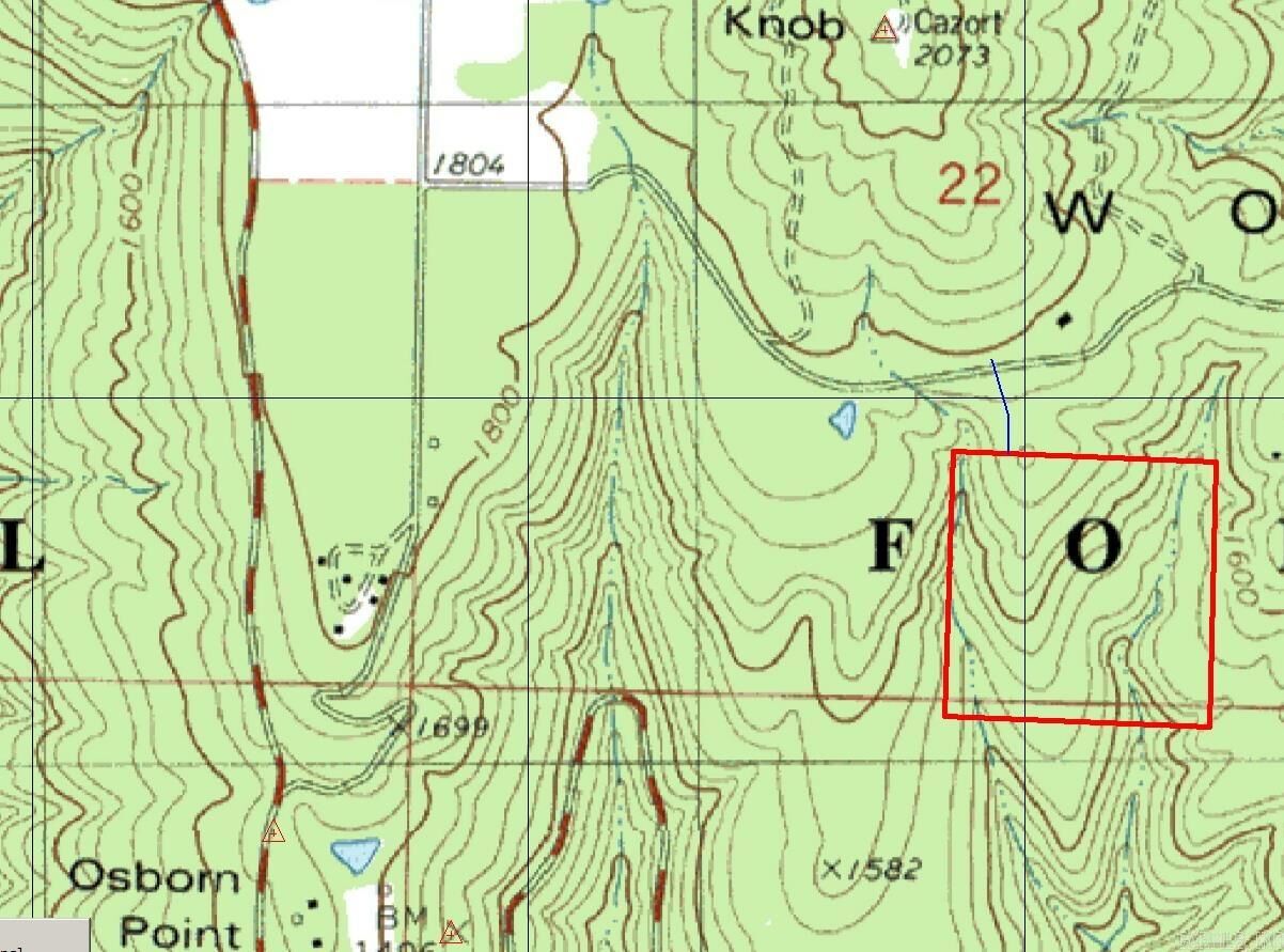 Property Photo:  000 Woods Mtn Road-Cr#4540  AR 72830 