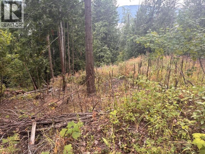 Property Photo:  Lot 151 Columbia Drive  BC V0E 1M8 