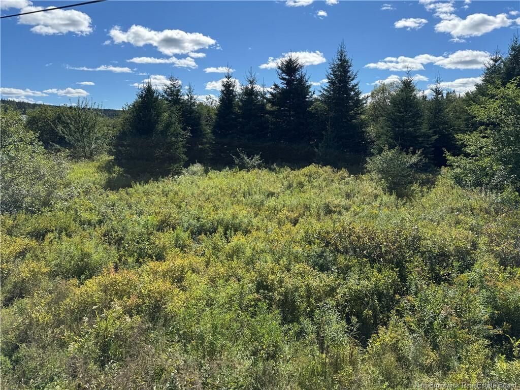 Property Photo:  Lot Route 111  NB E4E 3T3 