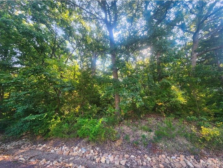 Property Photo:  Lot 29 Lakeshore Drive  MO 65066 