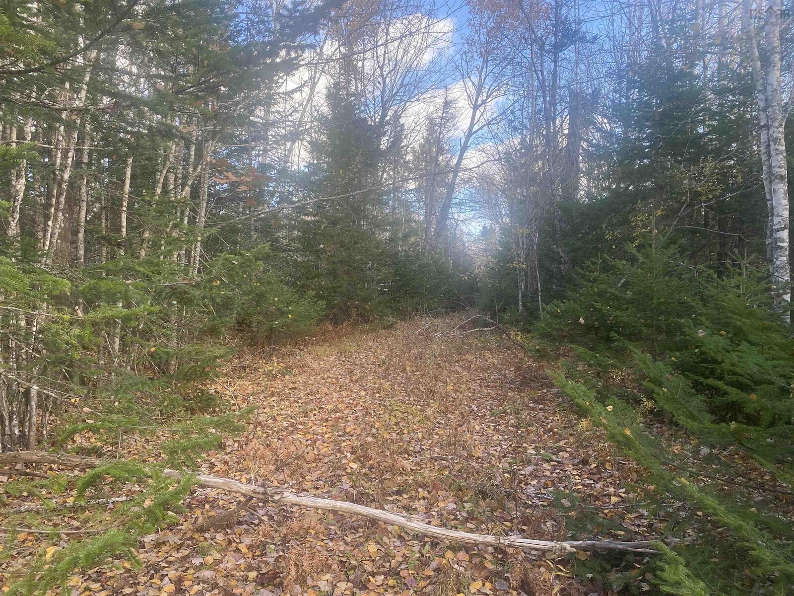 Property Photo:  Lot 2 248 Highland Road  NS B0K 1V0 
