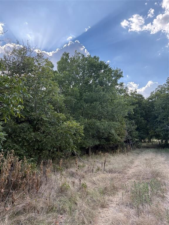 Property Photo:  271 Wyatt Road  TX 76458 