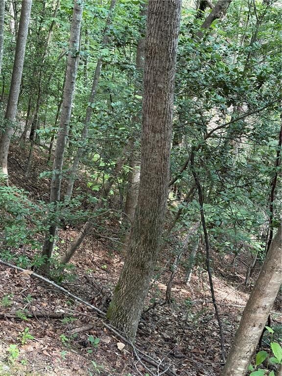 Property Photo: Tbd Old Nc Highway 16 NC 28651
