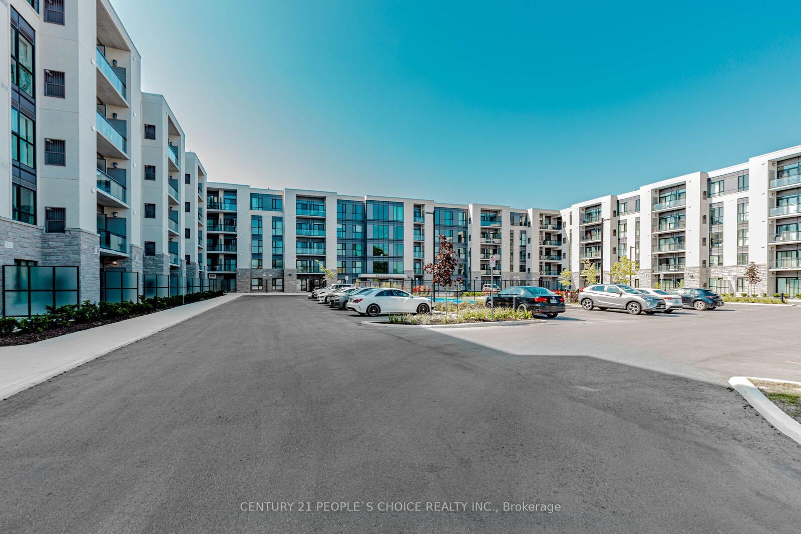 Property Photo:  50 Herrick Avenue 206  ON L2P 2T9 