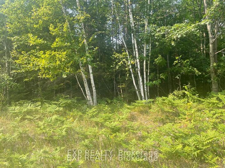 1571 Schutt Road — photo 1