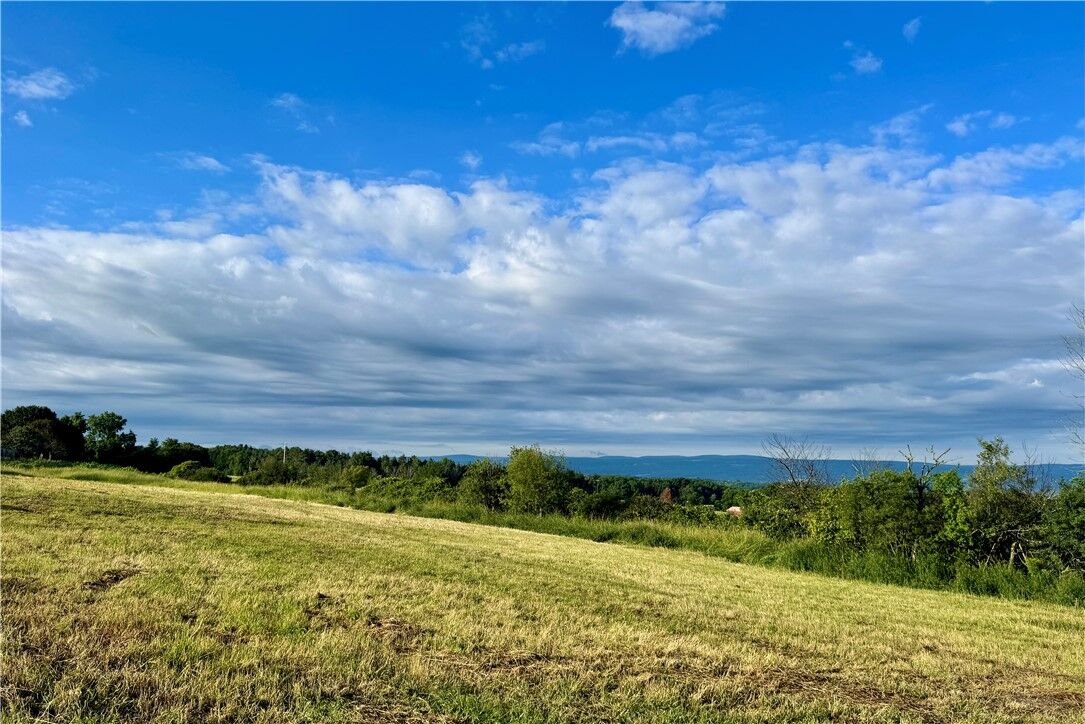 Property Photo:  Lot 2 0 County Road 4  NY 14841 