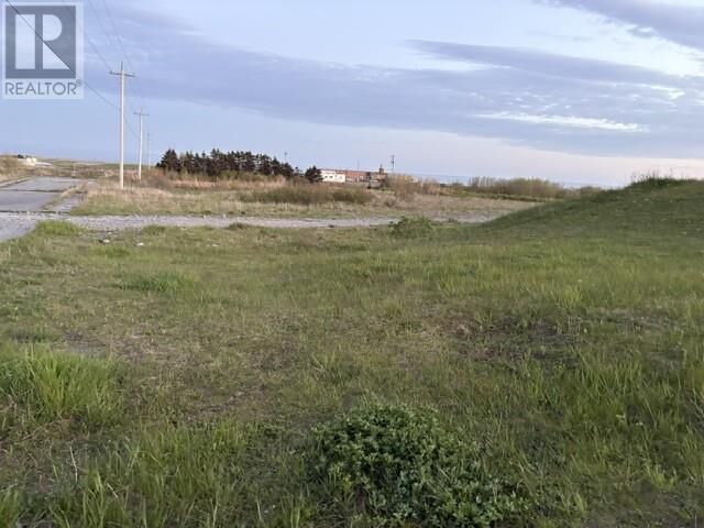 Photo de la propriété:  134 West Street  NL A2N 1E4 
