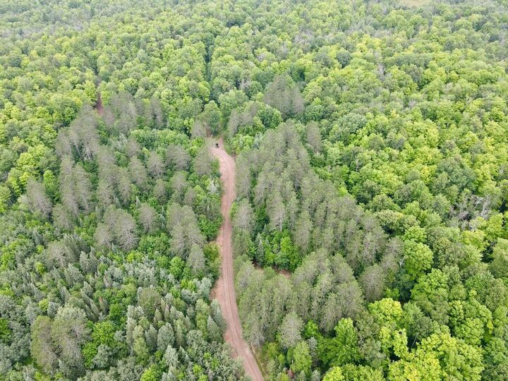 Property Photo: Lot 2 David Road WI 54435