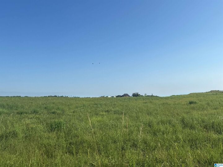 Property Photo:  Lot 32 County Road 1464 32  AL 35058 