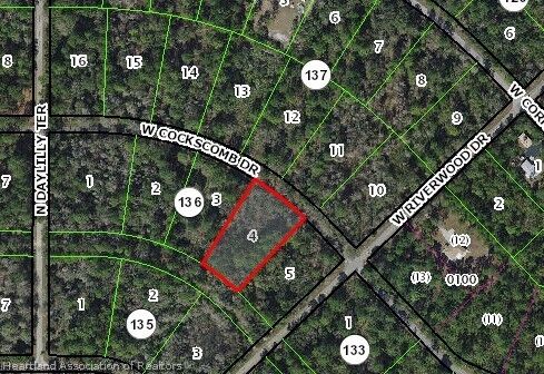 Property Photo: 11476 W Cockscomb Drive FL 34428