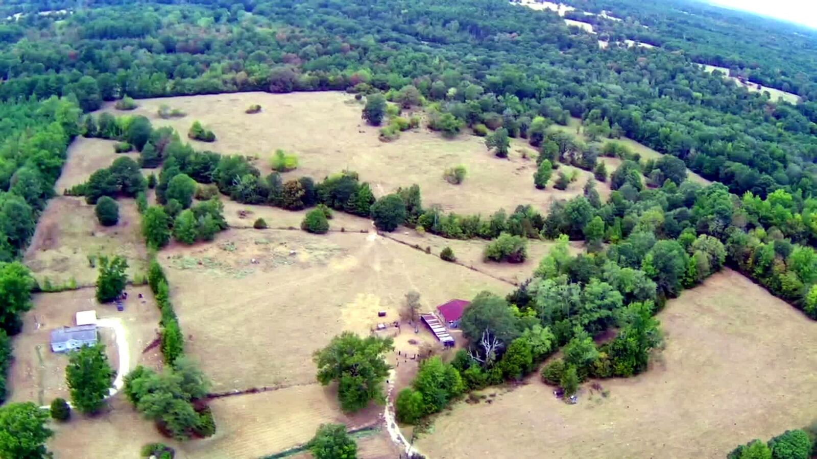 Property Photo: Tbd Cat Rd TX 75644
