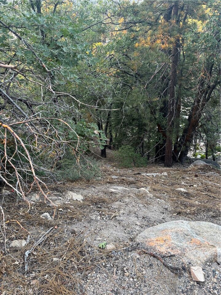 Property Photo:  0 Acacia Drive  CA 92325 