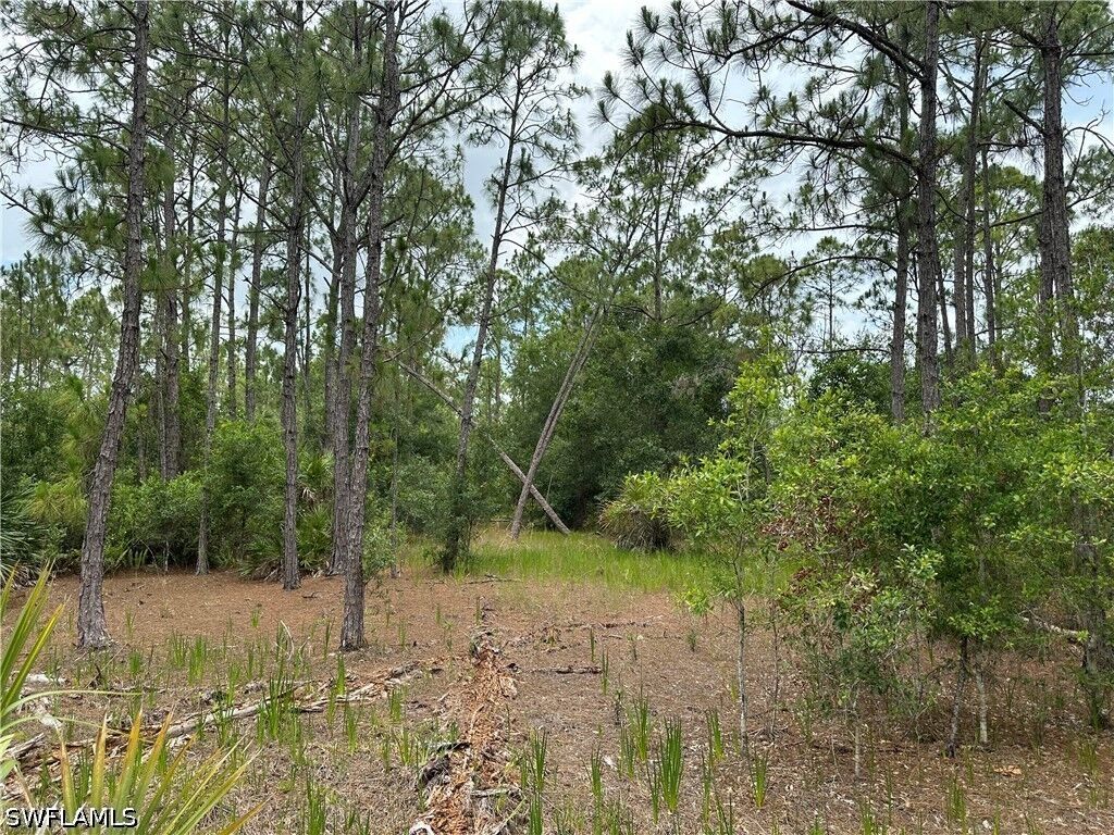 Property Photo:  44th Street NE  FL 34120 