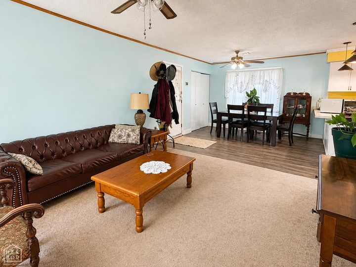 Property Photo:  205 Cherry Street  AR 72437 