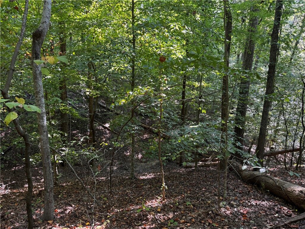 Property Photo: 00 Buttercup Court Lot 283 SC 29693