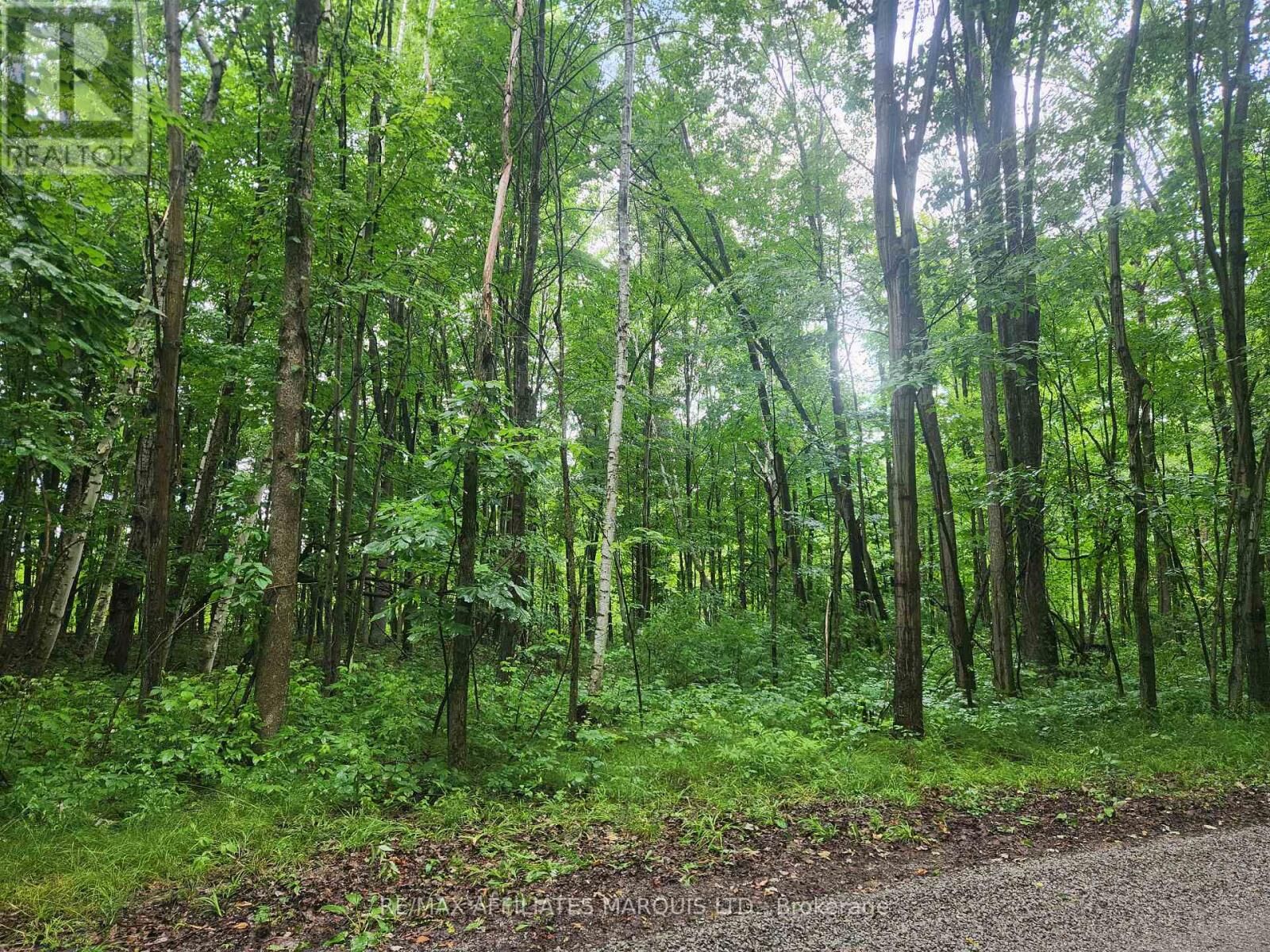 Property Photo:  000 Cedar Sands Road Way  ON K0E 1N0 