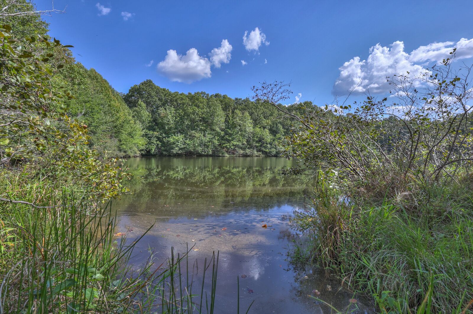 Property Photo: 4000 Jumpoff Rd TN 37375