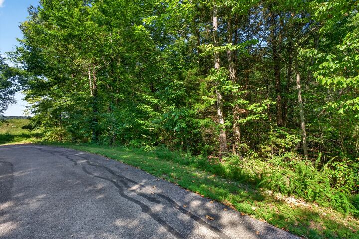 Property Photo:  0 Glenalbyn Pass  TN 38583 