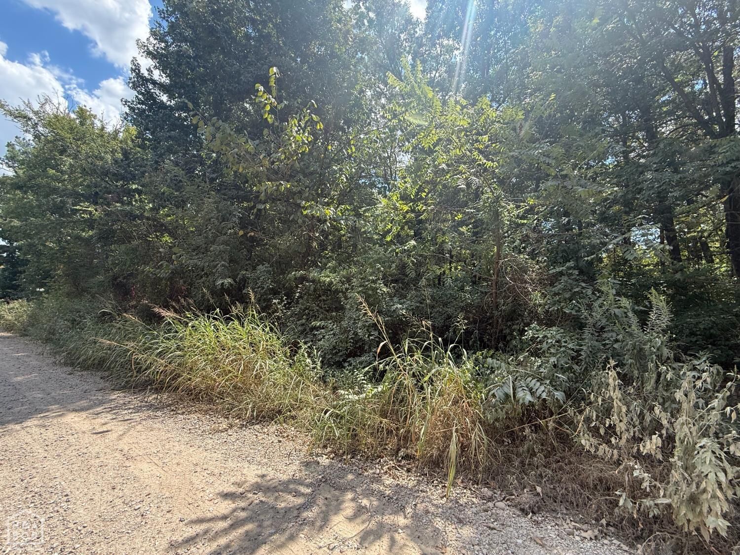 Property Photo: 3 County Road 320 AR 72416