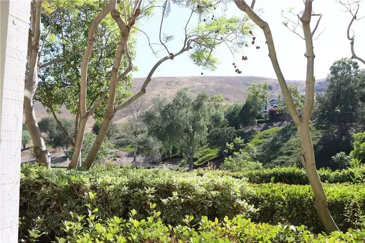 Property Photo:  25 Thorp Spring  CA 92694 