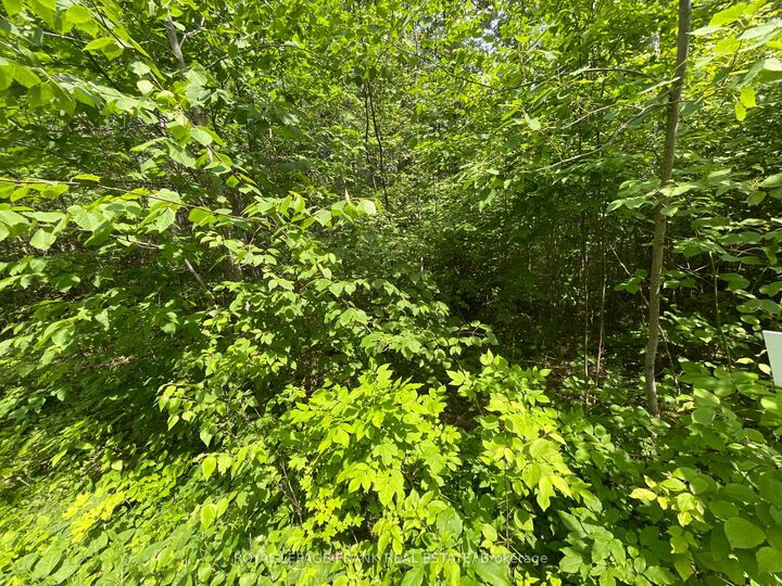 Property Photo:  0 Sugarbush Crescent  ON K0L 1J0 