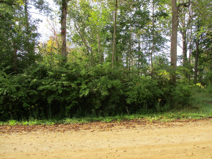 Property Photo: Orchard Road MI 49090