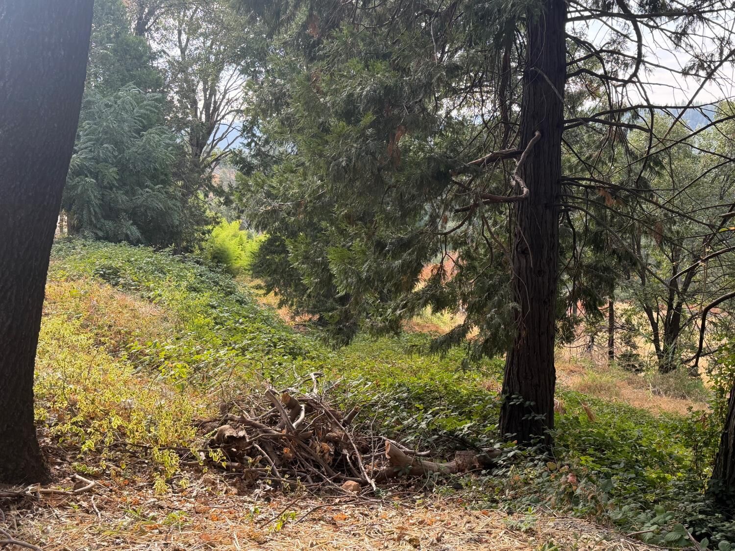 Property Photo:  3124 Meyers Road  CA 95709 