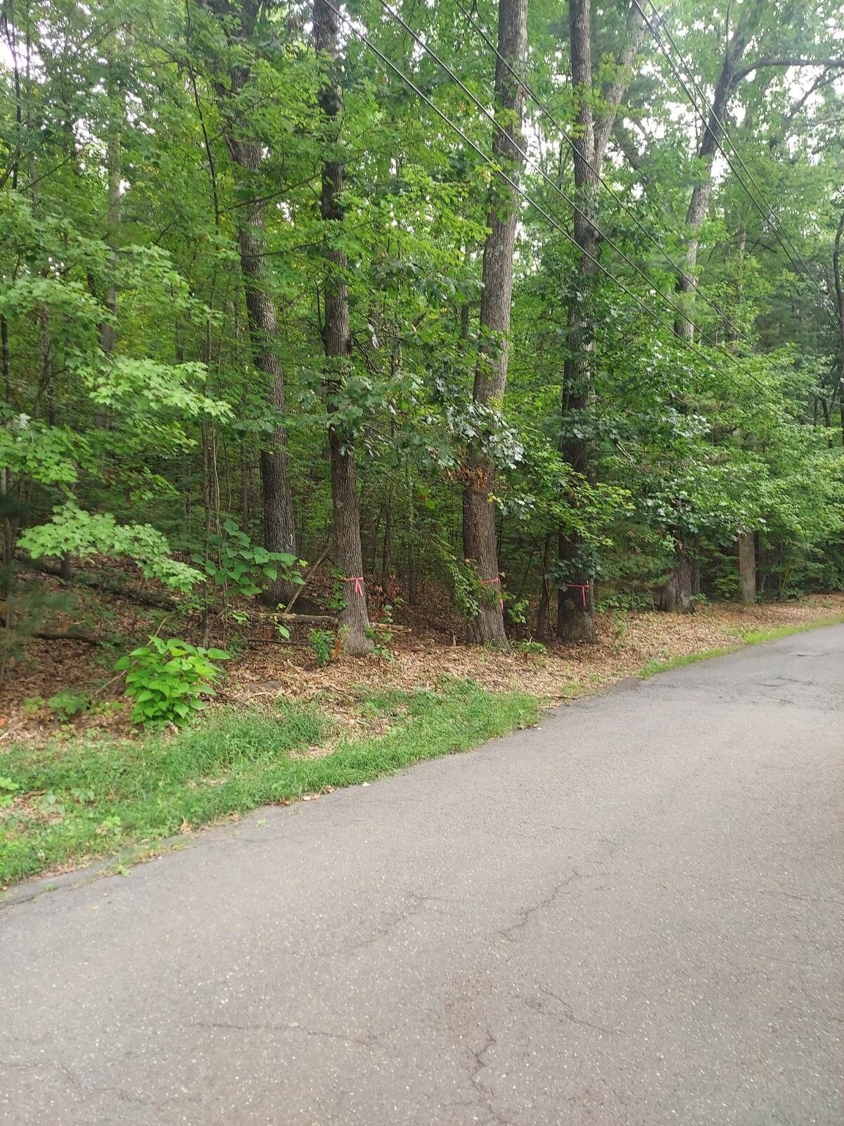Property Photo: 1005 Park Hill Road MA 01062
