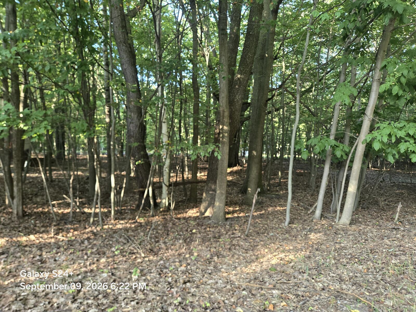Property Photo: 4 Lots W Beech Street MI 49431