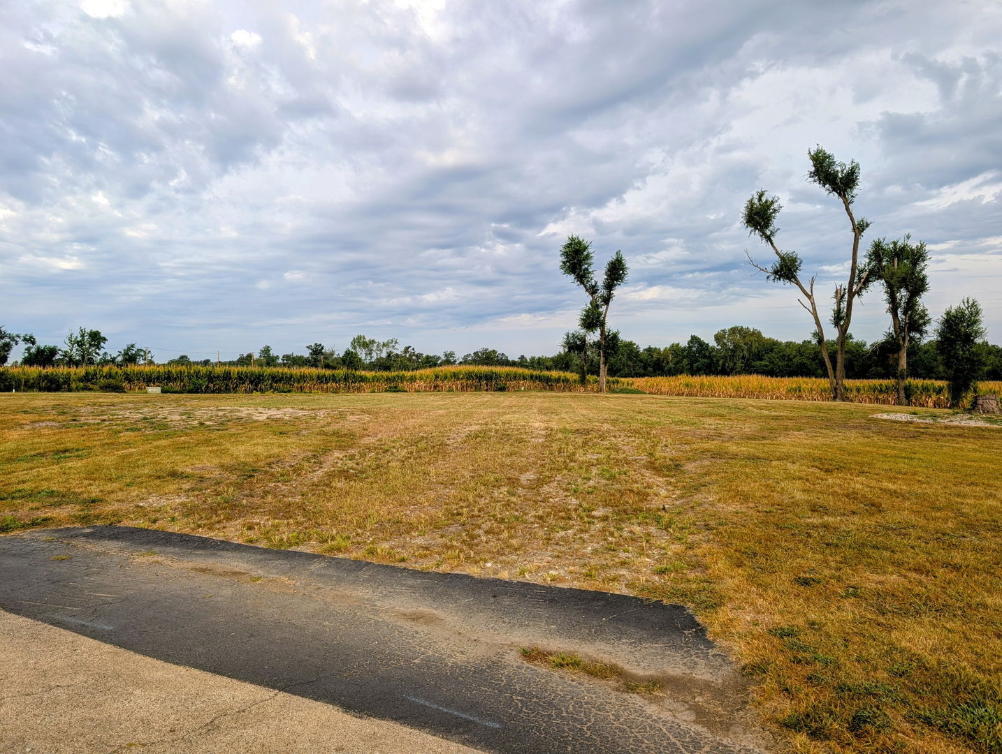Property Photo: 3 Julie Court IL 60901
